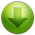 tick